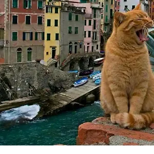 Stella Di Rio 5 Terre Apartamento Riomaggiore